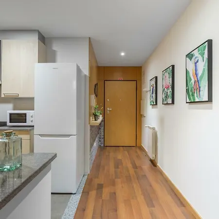 Luxurious Flat With Balcony & Garage Βίλα Νόβα ντε Γκάια